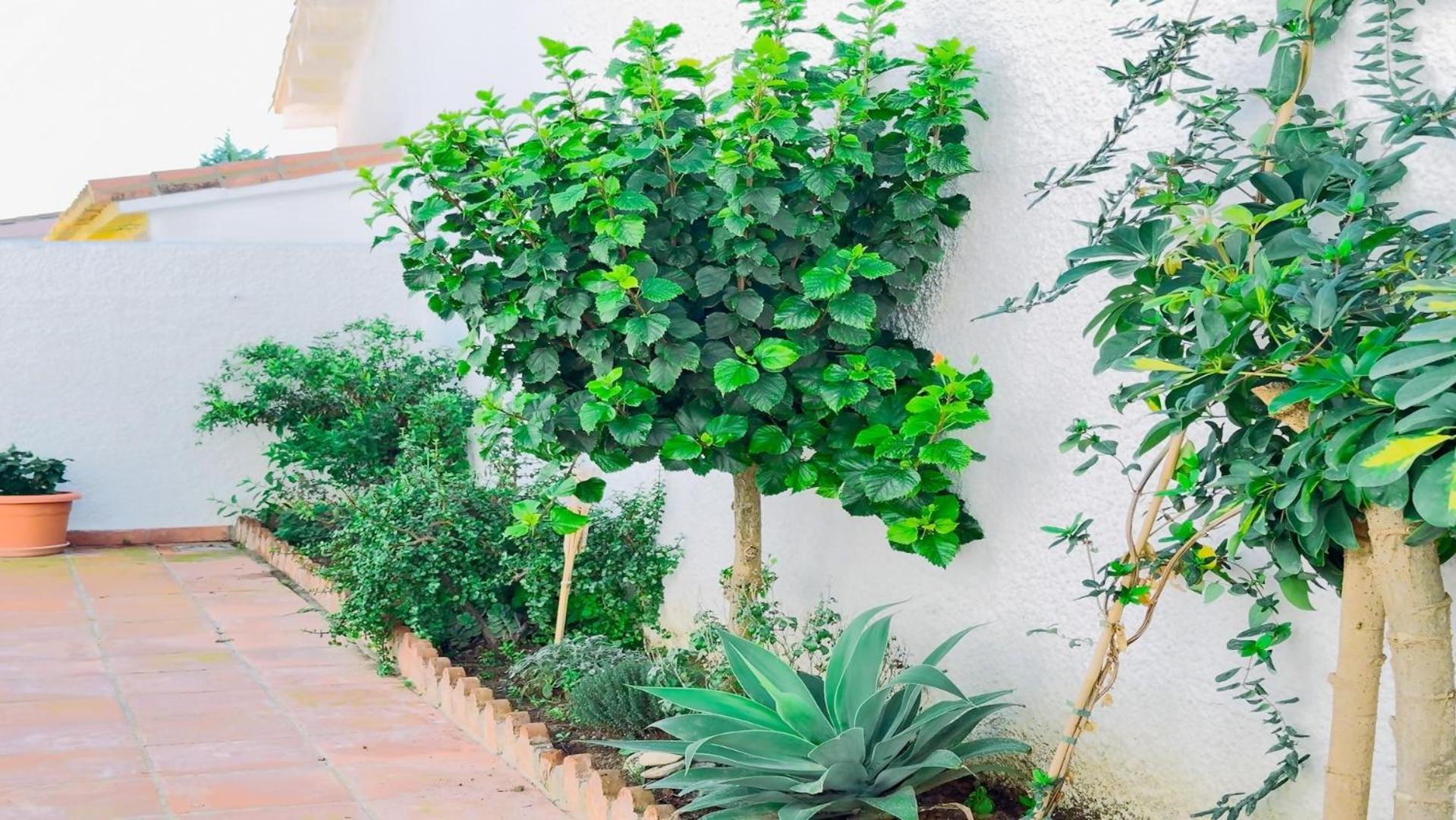 Vivienda Con Encanto Goya Nº4 Benalmádena Exteriér fotografie